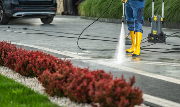 Best Roof Washing  in Graceville, FL